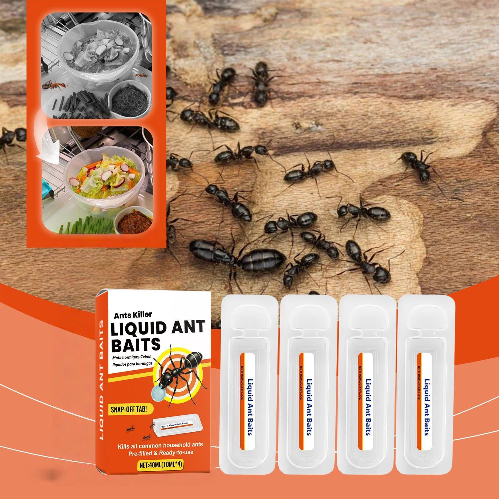 Novas Armadilhas para Formigas - Home Security Safe avaliação e preço